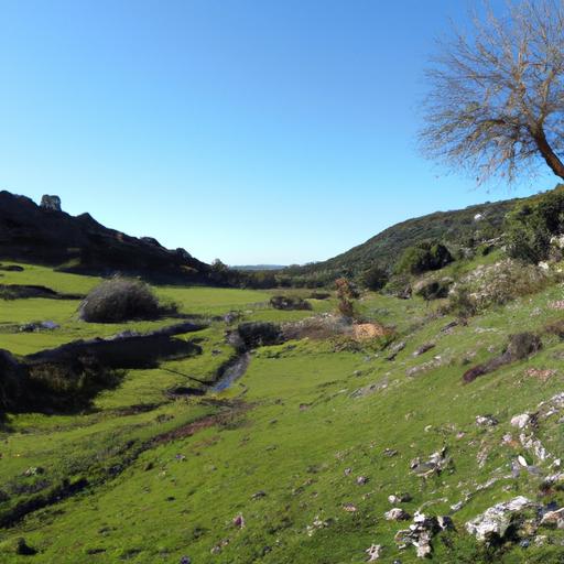 Descubre los mejores lugares en Zaragoza para comprar pelo natural