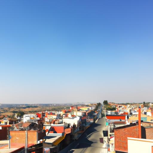 Hoteles en Zaragoza donde tu perro será bienvenido