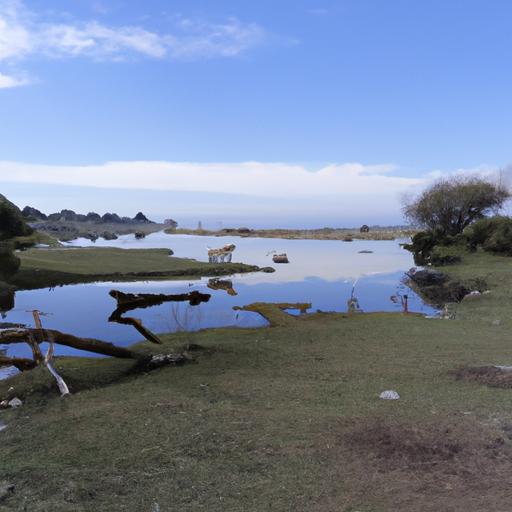 Aguas claras: ¿Es seguro beber agua del grifo en Zaragoza?